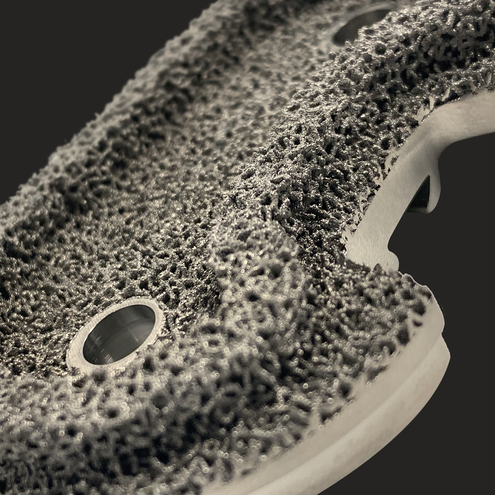 Monogram Orthopedics